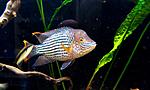 IMG 20151224 0925131