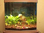 Jebo 60l