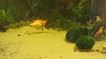 IMG 9458