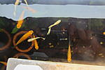 IMG 3291