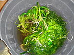 ramdisk crop 143334469 muwu