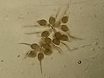 IMG 20150916 182036