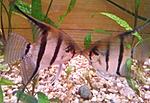 IMG 20150912 105705