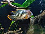 IMG 20151224 0925371