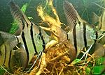 IMG 20151108 201550