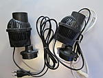 IMG 0451