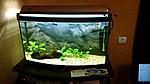 IMG 20160122 172044304