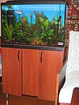 IMG 4974