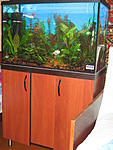 IMG 4973