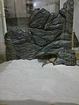 090120168033