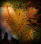 DSCN0107
