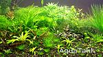 IMG 20160115 115712
