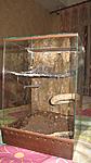 IMG 7756