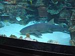 DSC02377