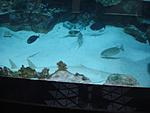 DSC02381