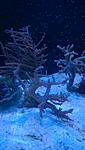 WP 20160131 11 37 15 Pro