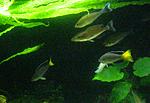 IMG 4608 1