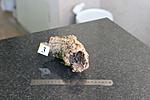 IMG 6424