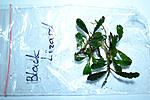 DSC 0014