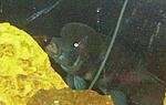 IMG 20160127 160740 684 1