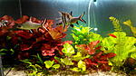 IMG 20140105 204427