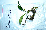 DSC 0019
