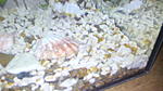 DSC 0028