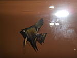 DSCN2178