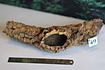 IMG 6547