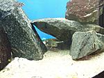 DSCN5226