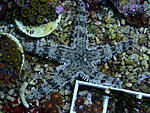 DSC 0565