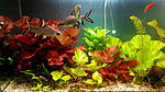 IMG 20140105 204431