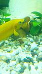 IMG 20160212 195634 233