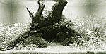 IMG 4776