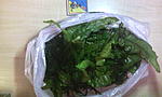 IMG 20160214 224652[1]