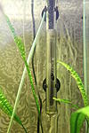 IMG 9165