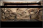 IMG 0409