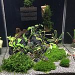 IMG 0096