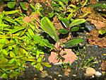 DSCN5987