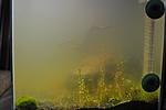 DSC 0300