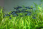 IMG 4878