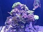 IMG 20160310 164806