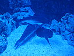 DSC02516