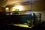 20160227 IMG 7835