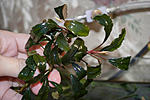 DSC0150