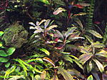 DSCF1734
