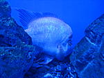 DSC02568