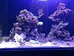 IMG 20160310 164750