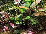 DSCF1746