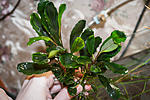 DSC0186